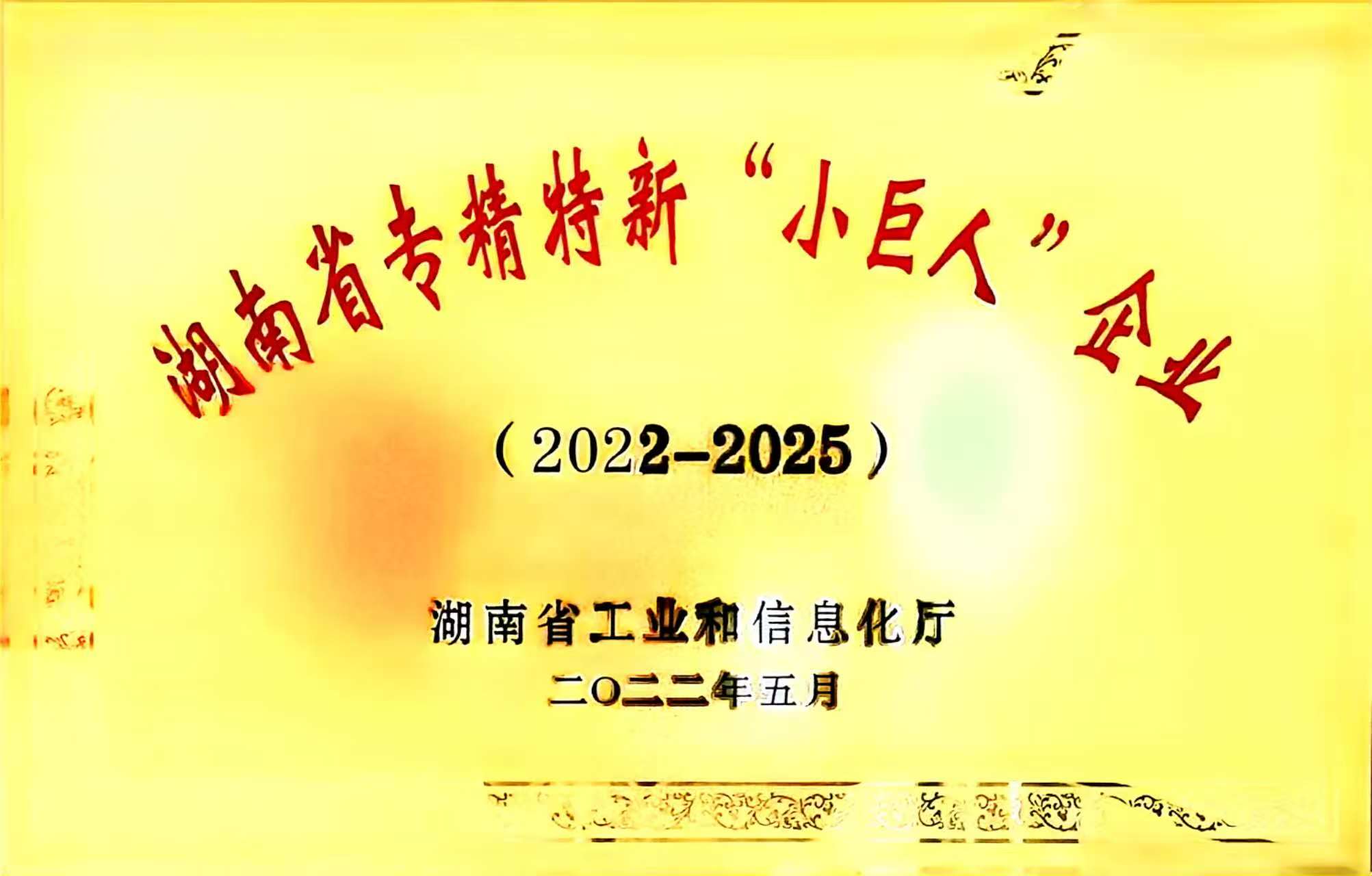 岳陽市大地印務有限公司,食品包裝,岳陽大地印務,印刷包裝,食品包裝哪里好